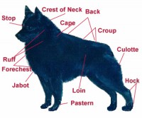 /album/sasokegyesulete/diagram-jpg/