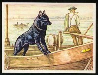 /album/sasokegyesulete/extra-1116-jpg/