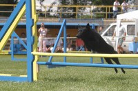 /album/sasokegyesulete/csipetke-0023-jpg/