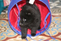 /album/sasokegyesulete/img-7430-jpg/