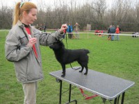 /album/sasokegyesulete/img-0590-jpg/