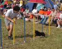 /album/sasokegyesulete/a22-final-jpg/